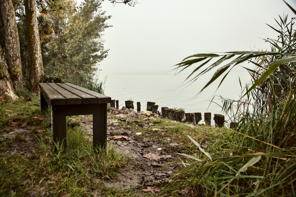 Banc vide au bord de l'eau