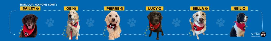 Le Royal accueille à nouveau six bénévoles très spéciaux de l’organisme Ottawa Therapy Dogs.