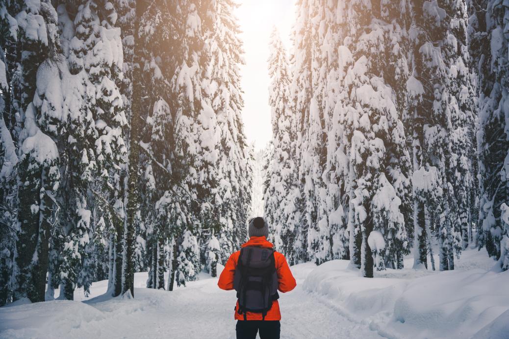 Un homme debout sur un sentier dans une forêt