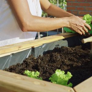 A person working in a garden box