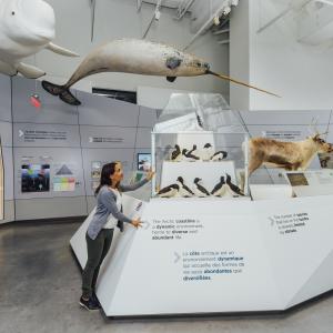 Museum of Nature Exhibit