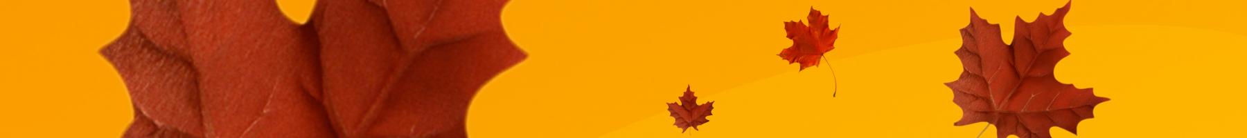 Maple leaves on yellow background