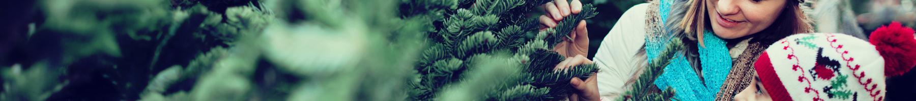 Une mère et sa fille achètent un arbre de Noël Une mère et sa fille achètent un arbre de Noël