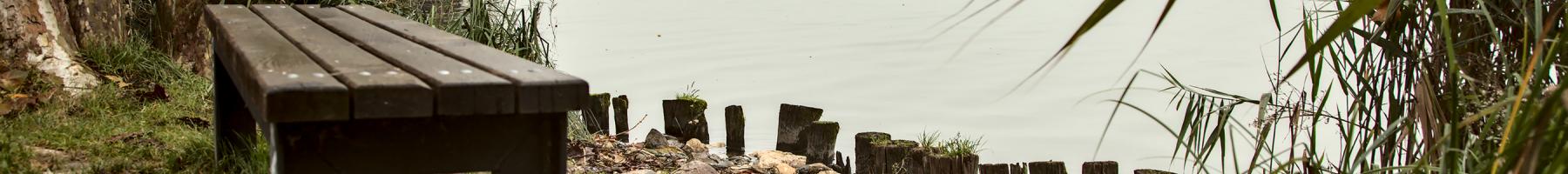  Banc vide au bord de l'eau