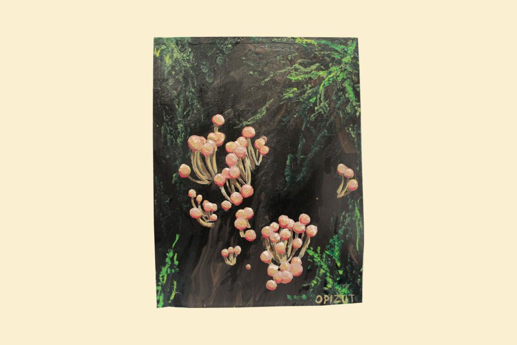 Pink Shiny Little Mushrooms  (9”x12”) - Suzanne Lamirande | $60