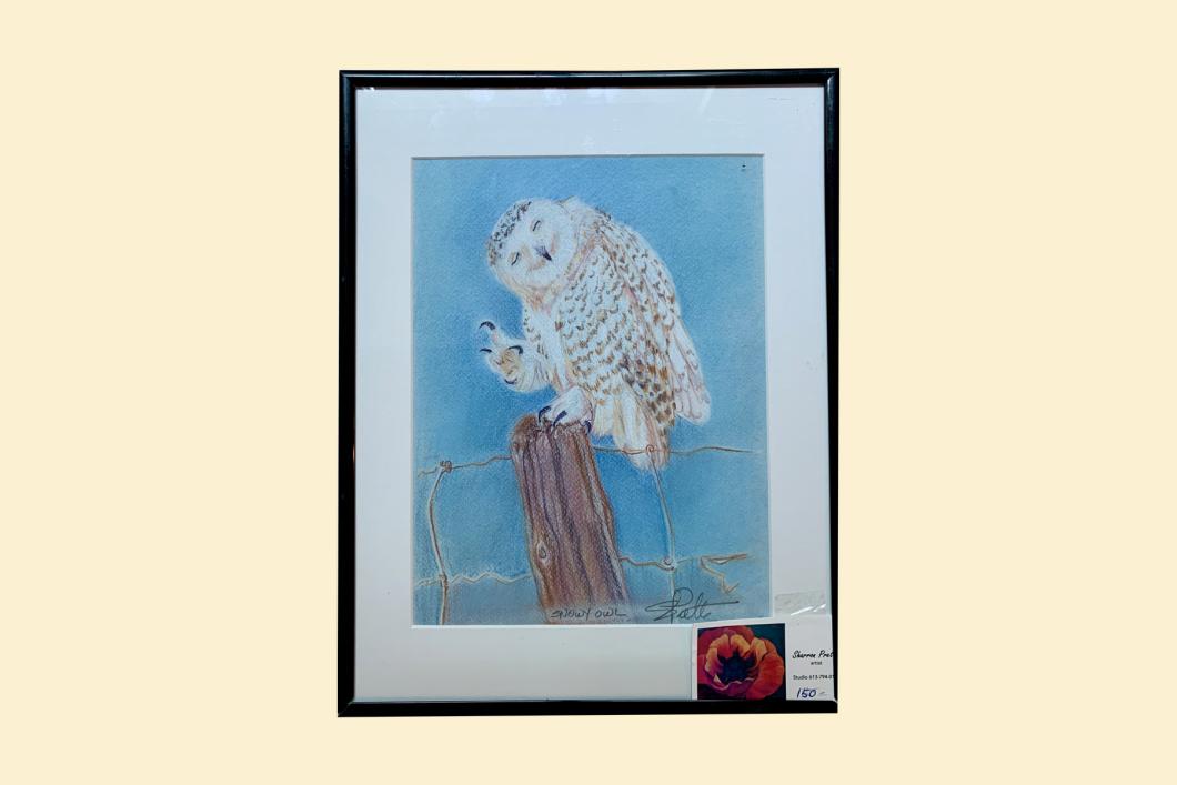 Scratching Snowy Owl, by Sharon Pretty (11” x 14”) | $150