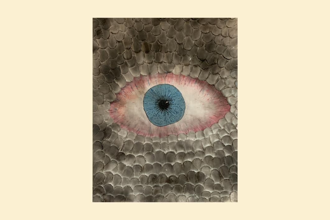 Stare, by Sandra Donovan (16” x 20”) | $300