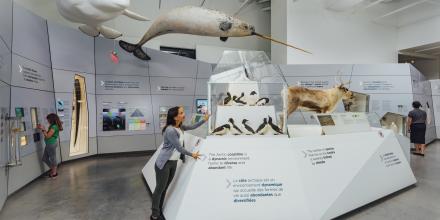 Museum of Nature Exhibit